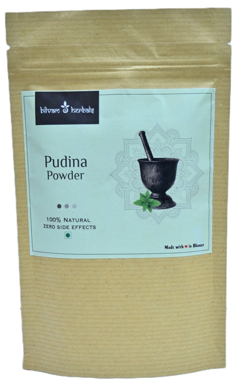 Pudina powder